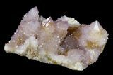 Cactus Quartz (Amethyst) Crystal Cluster - South Africa #132521-2